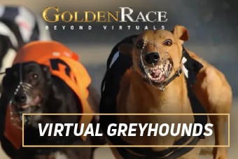 Dog Racing